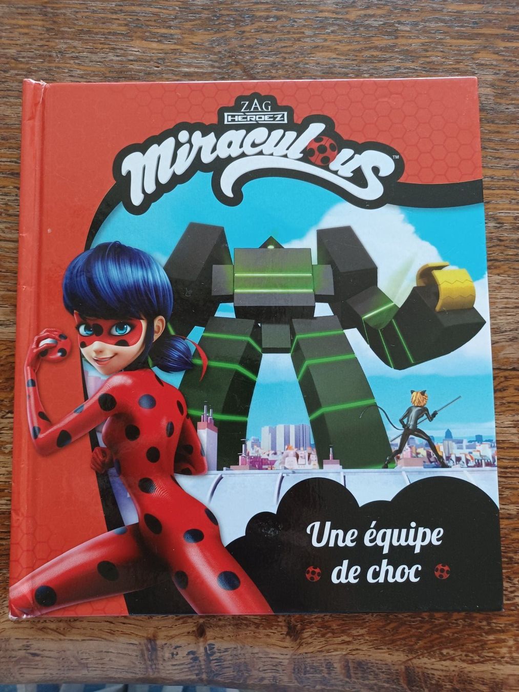 Libri: Livre Miraculous – Usato da Servion venduto da josephine22