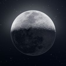 Profile image of NikitaY