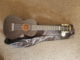 Konzert Ukulele