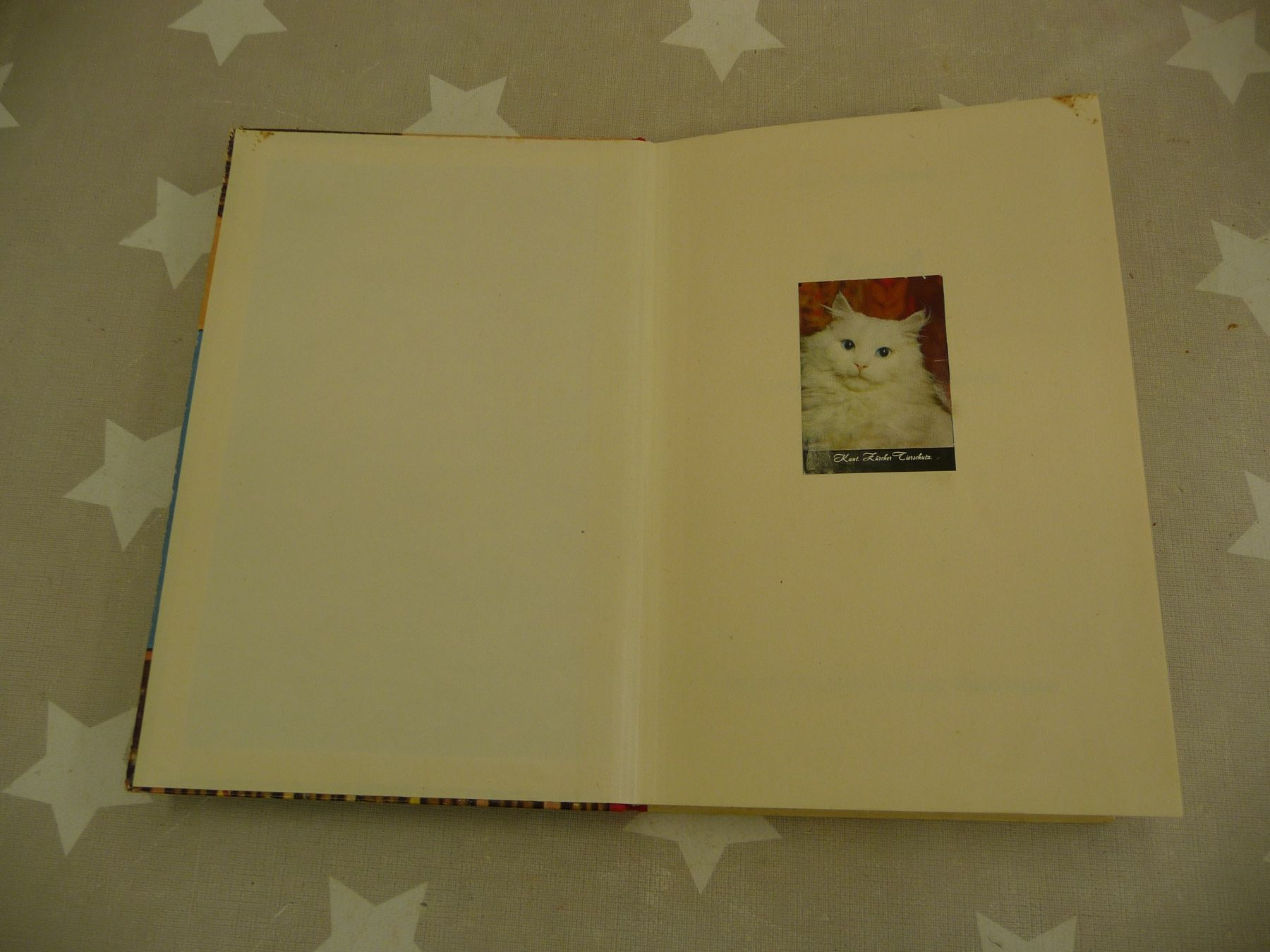 Livres: Buch: Liesel Ruth M. Eichberg – D'occasion à Rafz par Powacaddy 1