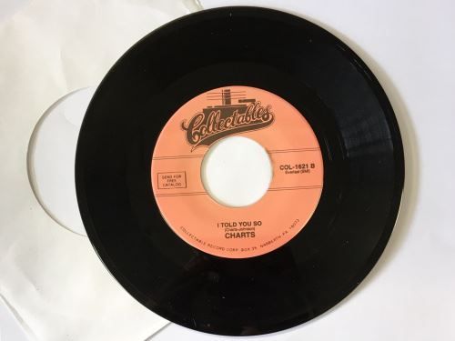 Dischi in vinile: Single Charts – Nuovo (secondo la descrizione) da Schalunen venduto da schwabspielautomaten 1