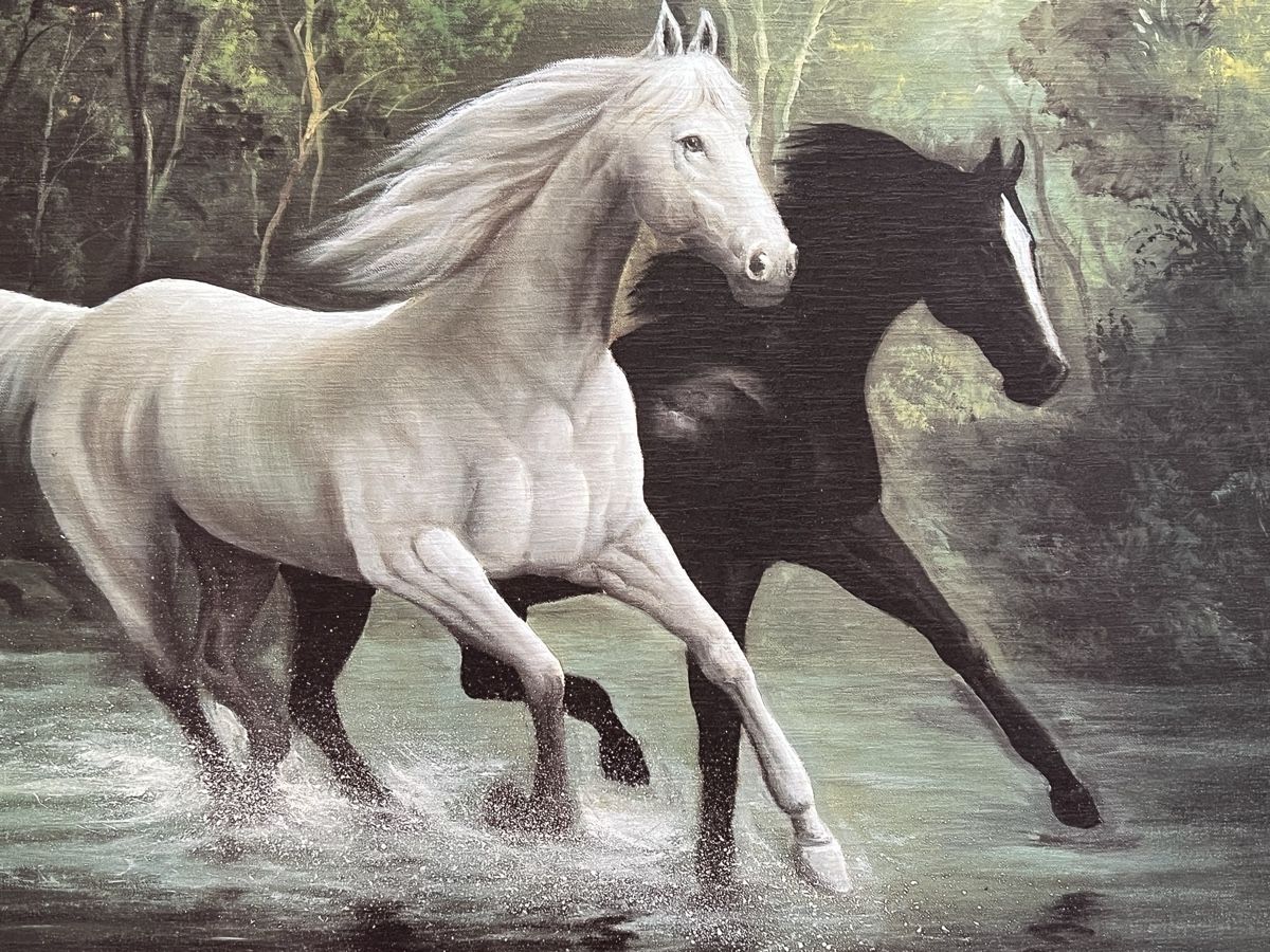 Foto & Immagini: Bild Pferde 50x70 cm – Usato da Winterthur venduto da Fredy972 1