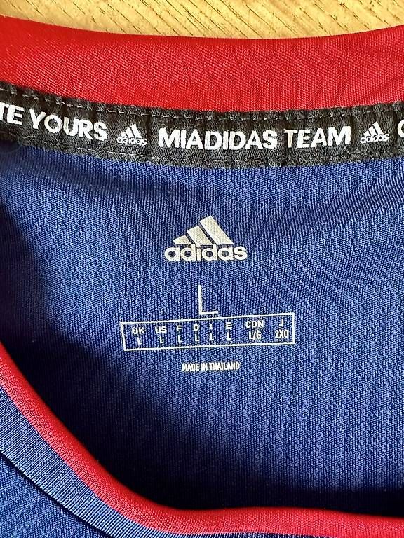 Adidas T-shirt: FC Basel Trainingsshirt in L – Usato da Basel venduto da thmnn 2