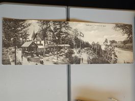 Panorama PK / Waldhaus in der Hardt bei Basel ca. 1910