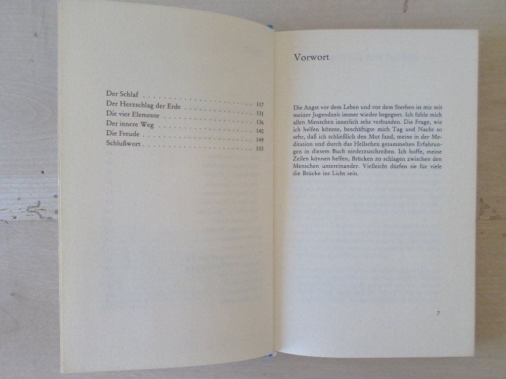 Libri: Brücke ins Licht / Silvia Wallimann – Usato da Liestal venduto da man_7bt6 3