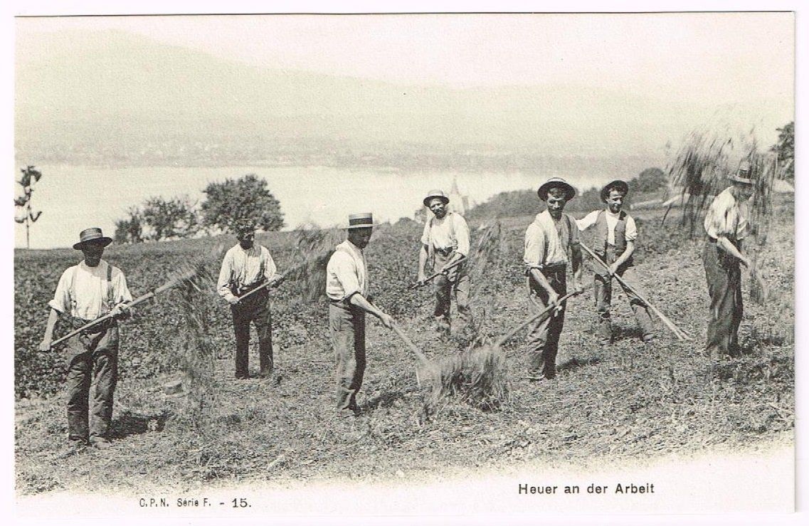 Cartoline postali: Landwirtschaft/Heuen 1910 FR/VD? – Usato da Wil SG venduto da Clanx