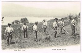 Landwirtschaft/Heuen 1910 FR/VD?