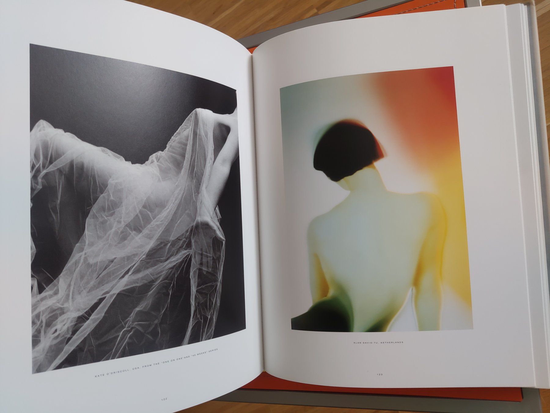 Libri: Pedersen - NUDES - EJ: 1992 – Usato da Zürich venduto da gama1964 2