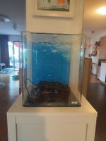 Aquarium Nano Cube Dennerle