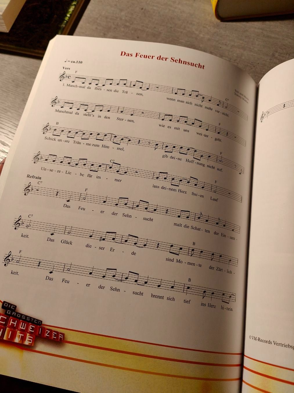 Libri: Die grössten Schweizer Hits - Das Songbuch – Usato da Dicken venduto da anita-123 3