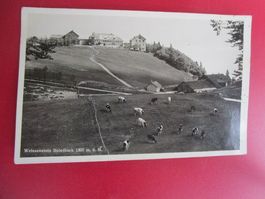 alte AK: Weissenstein Solothurn - datiert 1937