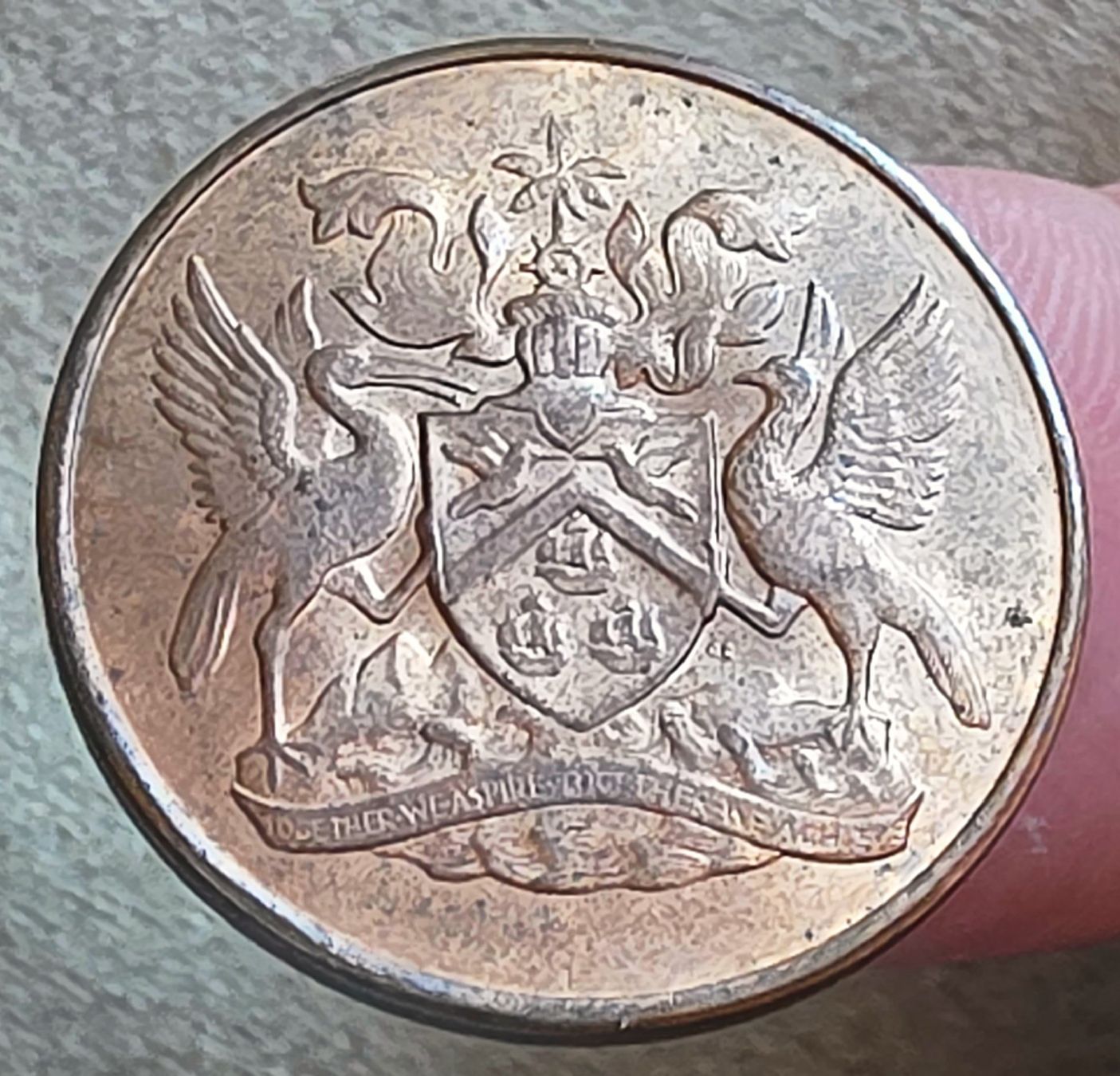 Alle Münzen: TRINIDAD AND TOBAGO 5 CENTS 1966 – Gebraucht aus Winterthur von Creso70 1