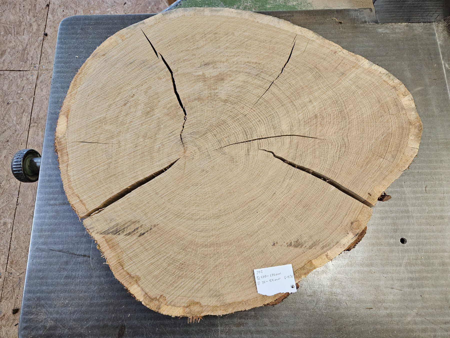 Holzartikel: Eichen Holz Baumscheibe – Neu (gemäss Beschreibung) aus Schangnau von egli6.2