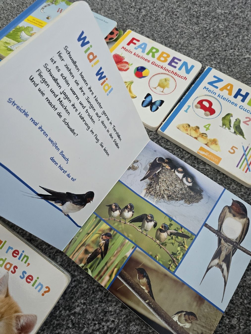 Bücher: Konvolut 7 Kinderbuecher – Gebraucht aus Unterentfelden von Panda-87 5