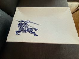 Baskets Burberry Terrace blanches et bleues – pointure 39 –