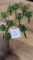 20 très jolis arbres