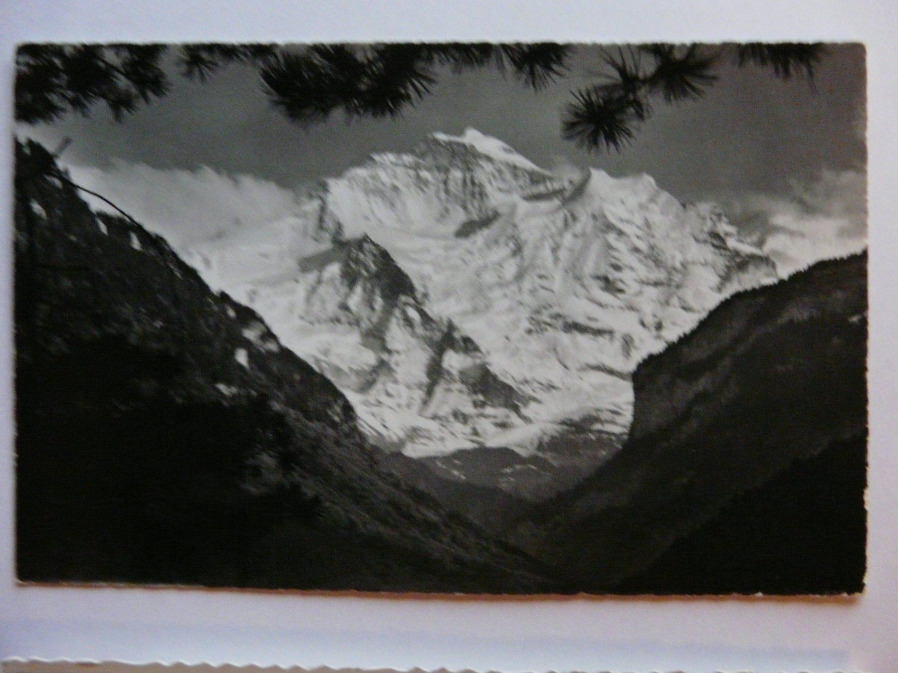 Cartoline postali: A.K. Jungfrau ca. 1968 ; Gebraucht – Usato da Grossaffoltern venduto da Prinzessin57