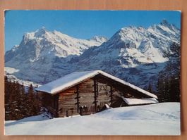 Grindelwald 1971 - neige hiver Suisse