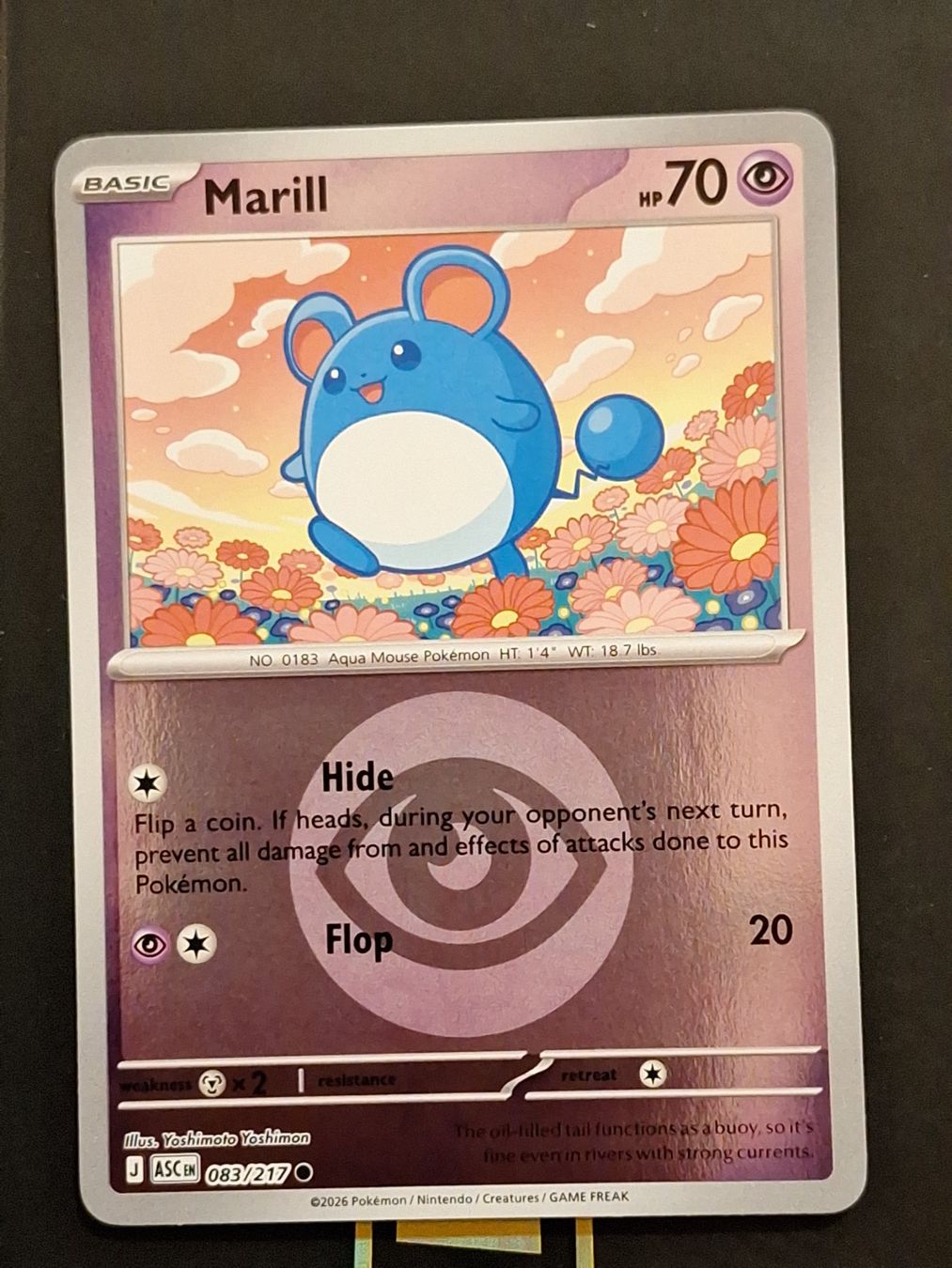 Pokémon Carte collezionabili: Marill - Pokemon Reverse Holo Energy - Ascended Heroes – Usato da Altstätten SG venduto da GGsGameshop