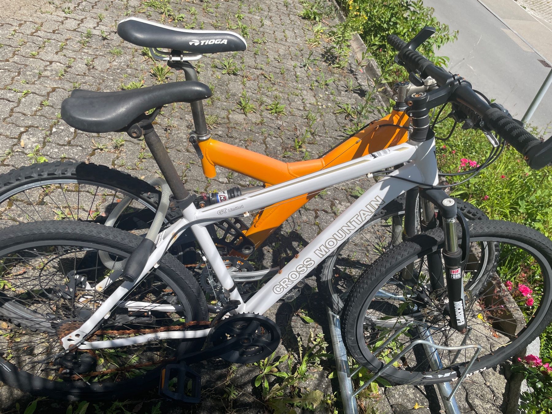 Biciclette: Mountain Bikes – Usato da langnau am albis venduto da APRILIA81 1