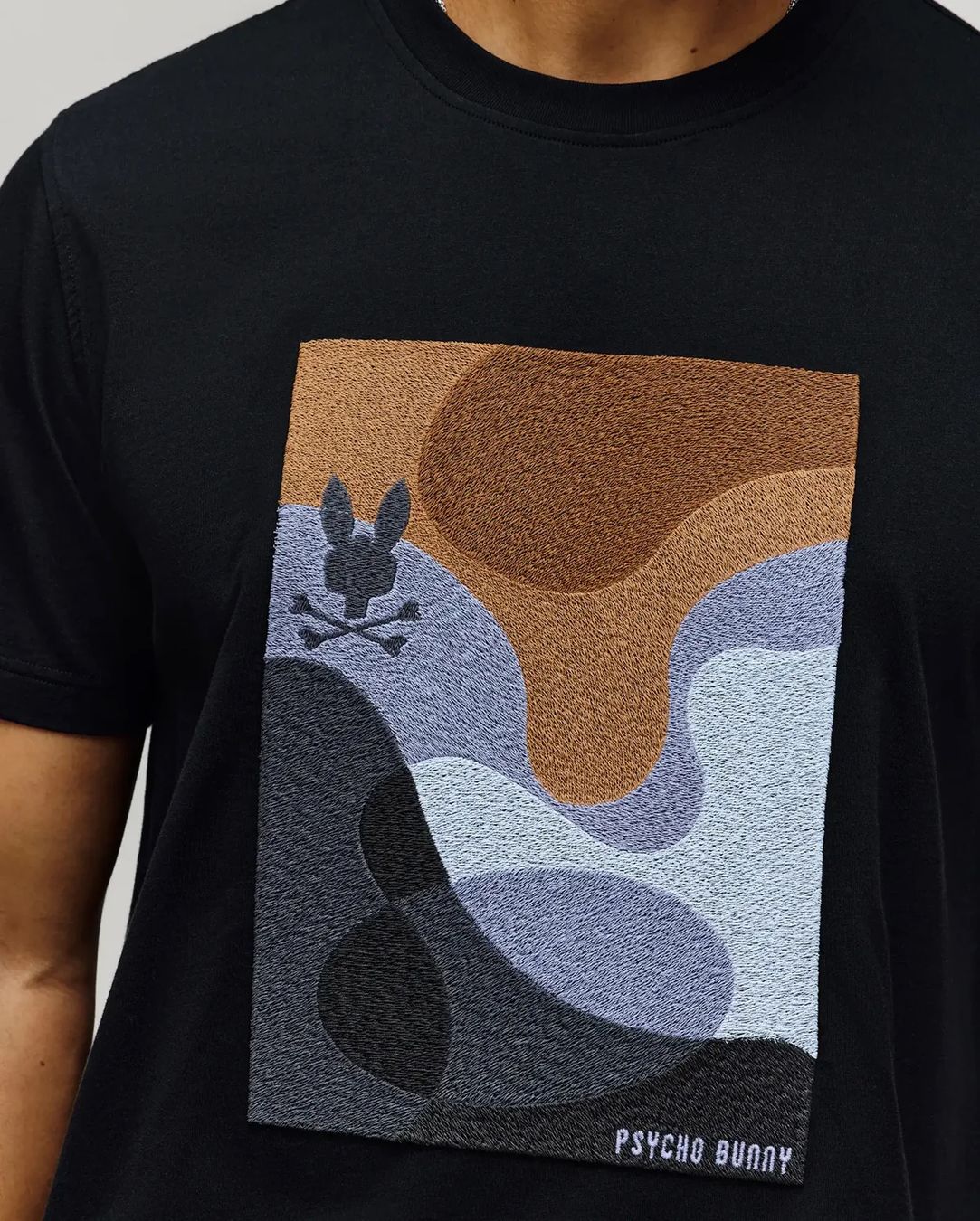 T-shirt: Psycho Bunny Dante Graphic Tee – Nuovo e nell'imballaggio originale da Thalwil venduto da Swisshoneys 2