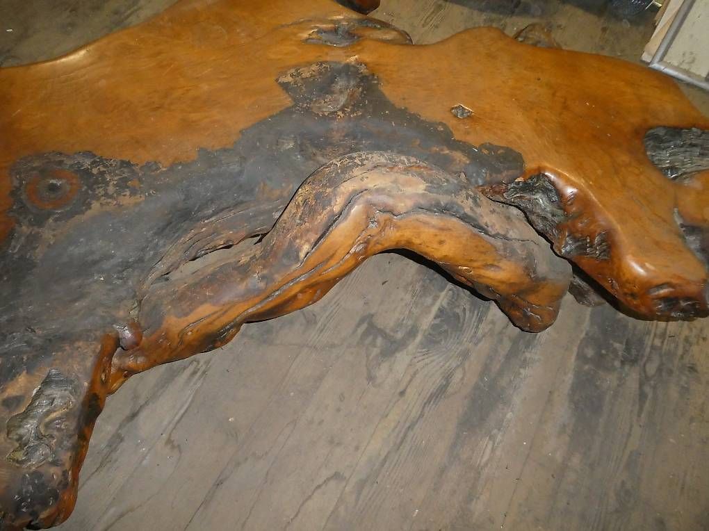 Tavoli: Salontisch Mammutbaum alt, gebraucht – Usato da Hedingen venduto da mome22 2