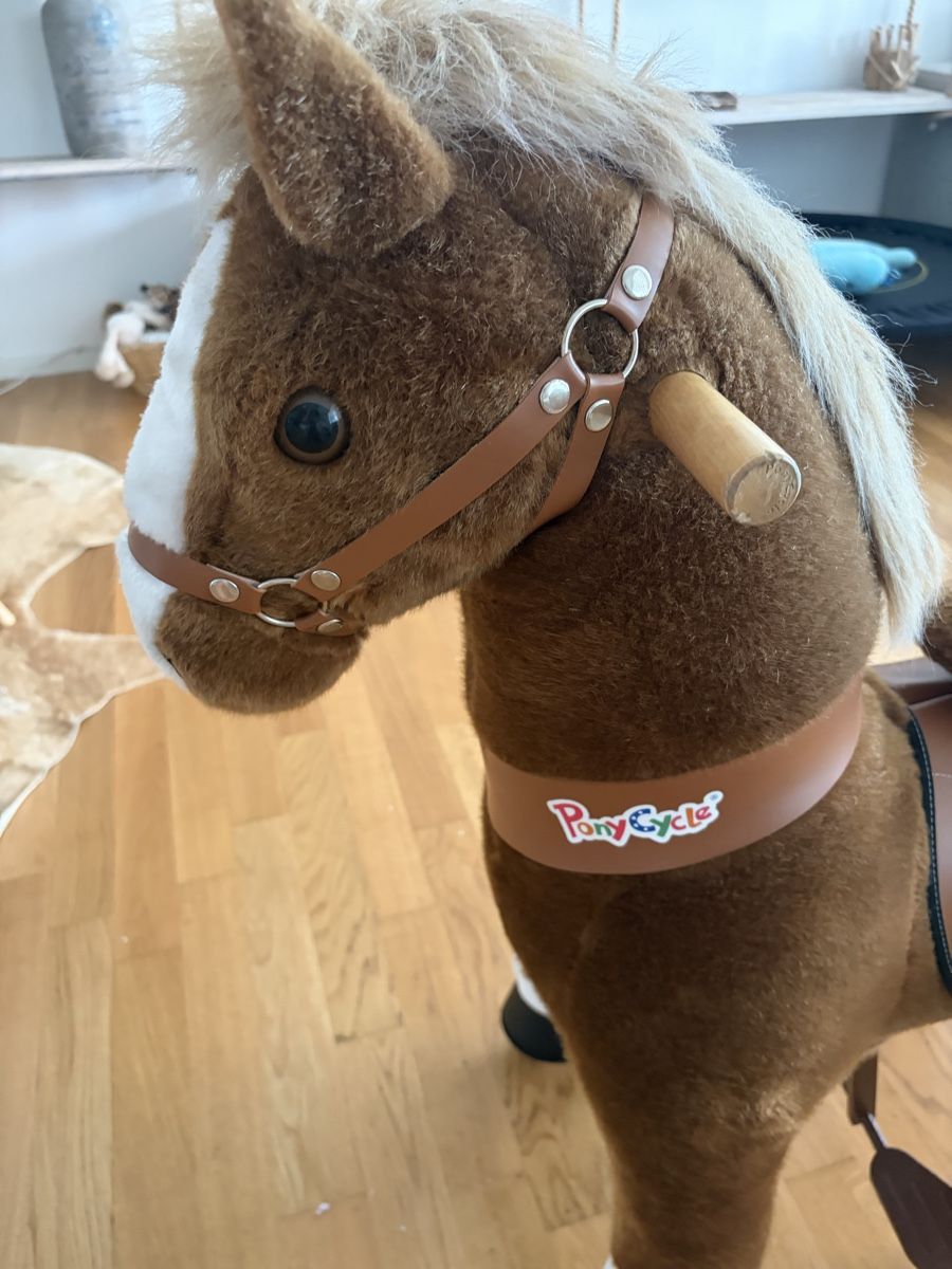 Giocattoli: Pony Cycle – Usato da Luzern venduto da Swiss78 2
