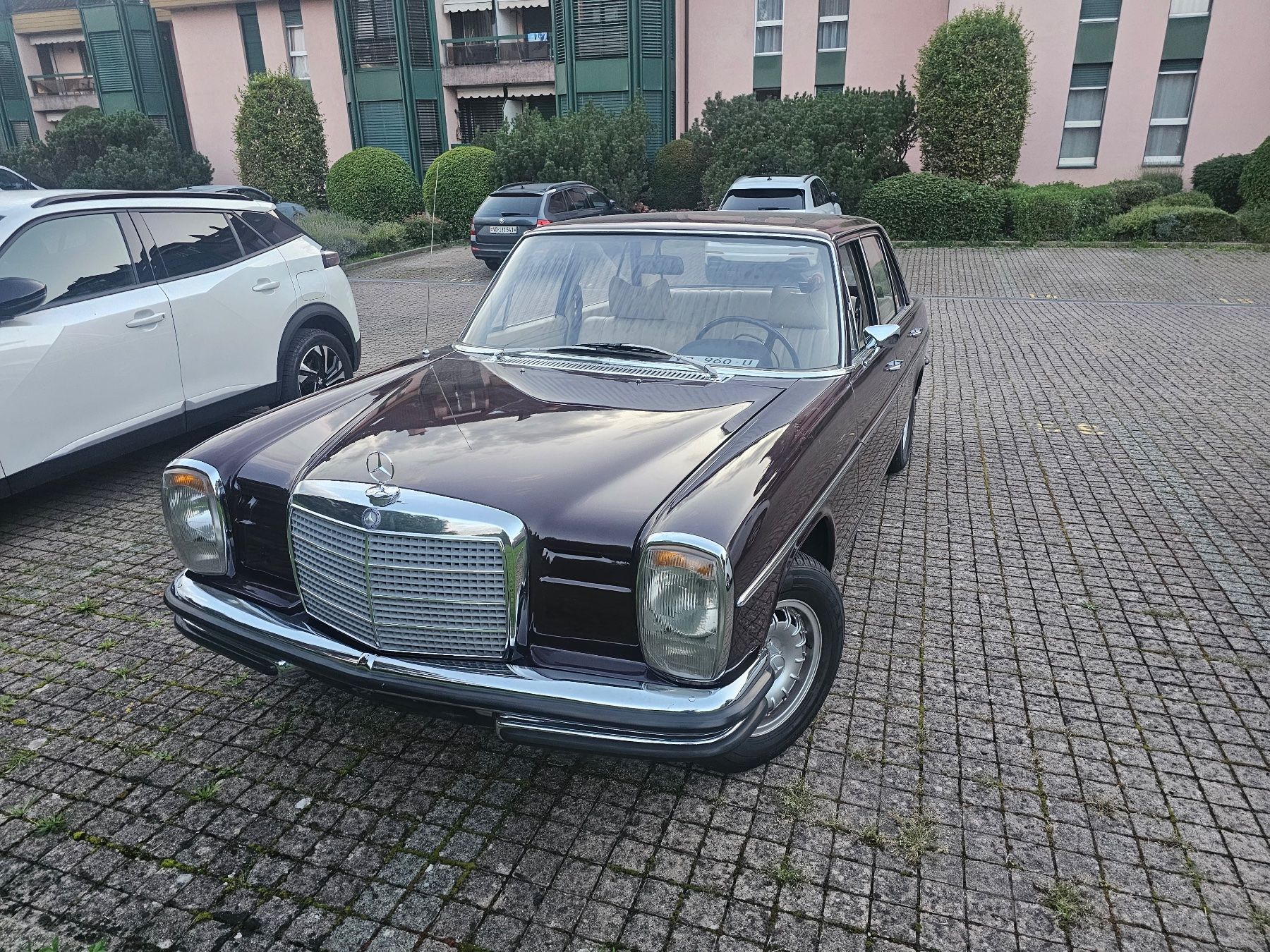 Mercedes-Benz Autos: mercedes  250 – Gebraucht aus Ecublens VD von sneki05