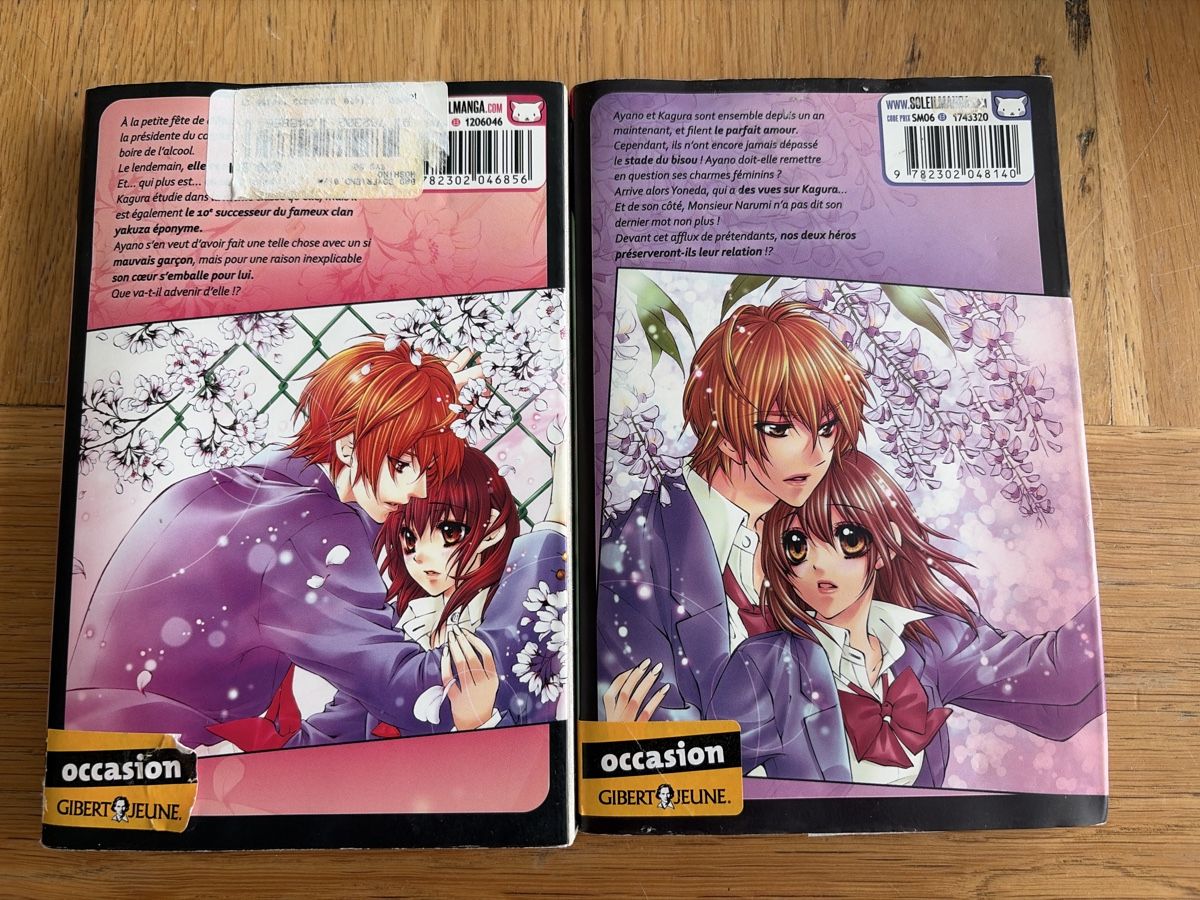 Fumetti: Mangas Bad Boyfriend de 1 à 2 complet  – Usato da Echallens venduto da leo_dk2d 1