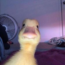 Profile image of jus_gf98