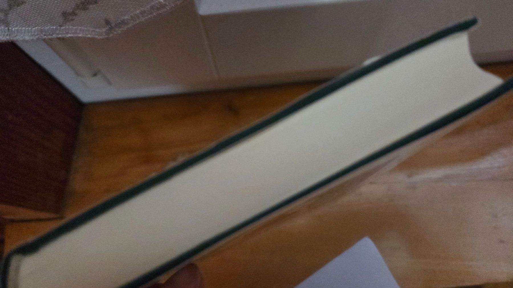 Libri: Paulo Coelho Brida Diogenes Verlag – Usato da Weggis venduto da Leeclipse 2