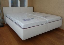 POLSTERBETT NEU 200x220 cm Komfortlänge incl. Matratzen Neu!
