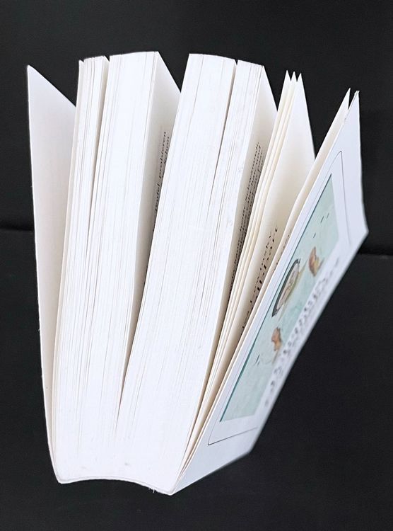 Libri: Charles Lewinsky - Der Halbbart – Nuovo (secondo la descrizione) da Ennetbaden venduto da miboo 4