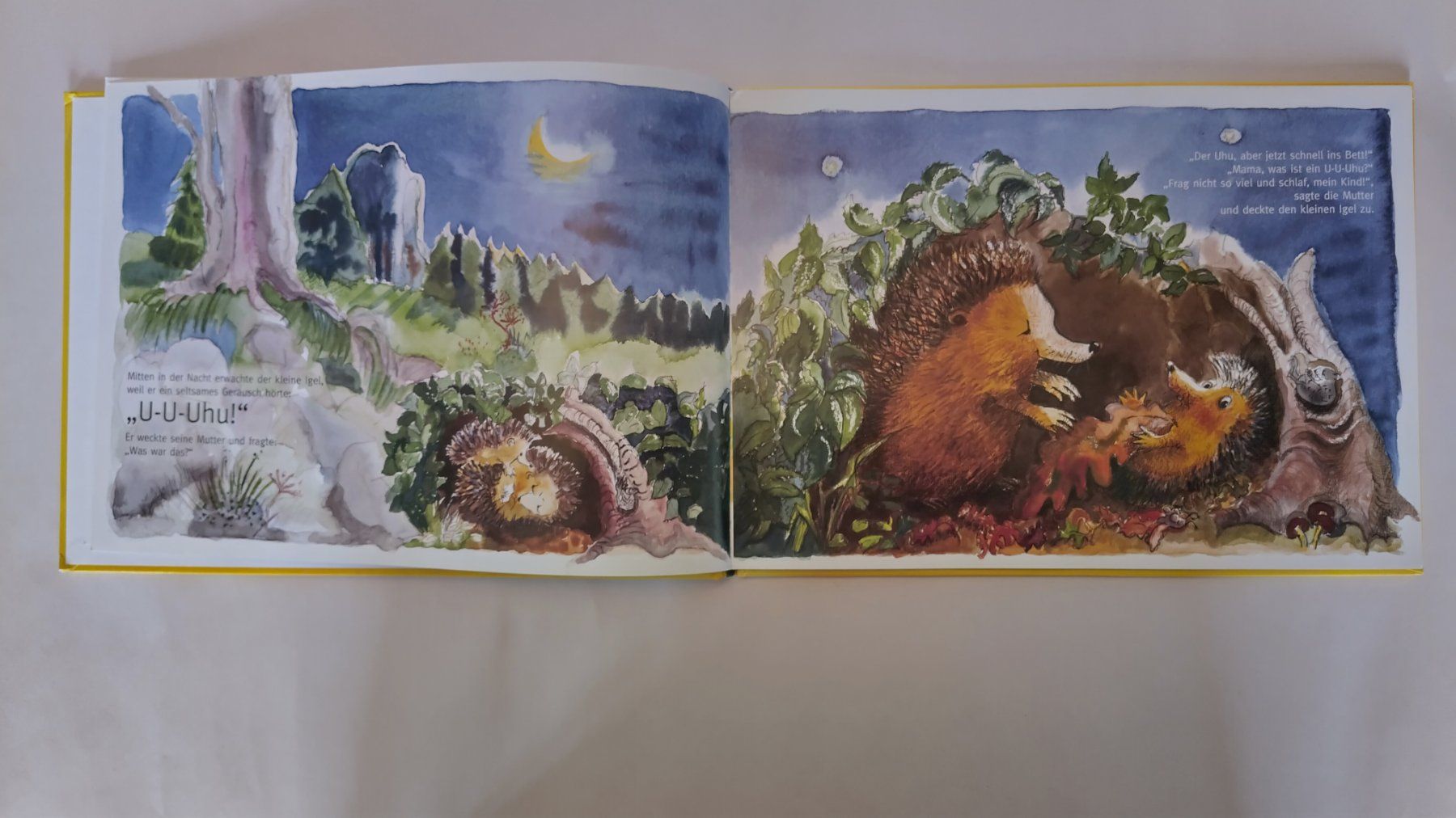Bücher: Was ist ein U-U-Uhu? / Mutmach Bilderbuch stotternde Kinder – Gebraucht aus Bellach von JingleJerry 3