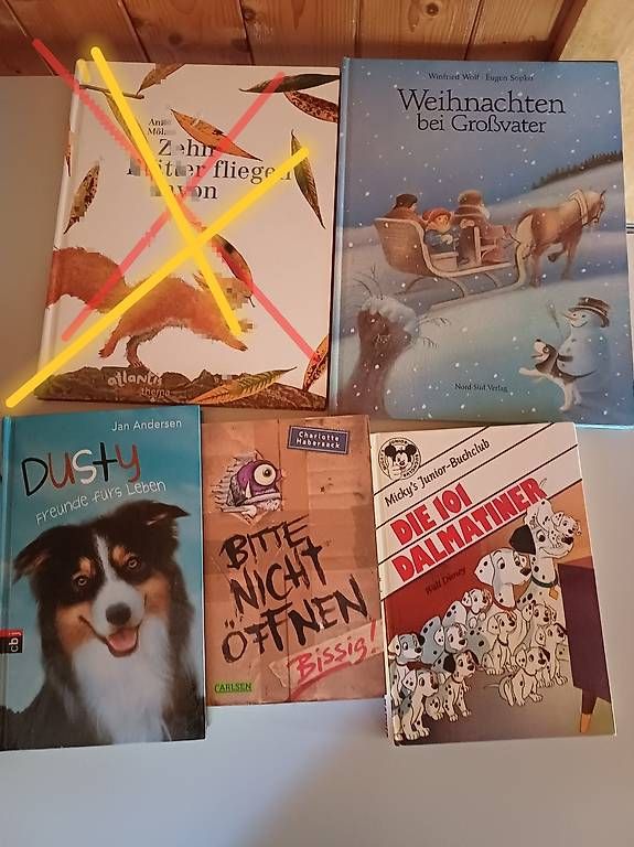 Libri: Diverse Bücher  – Usato da Ballwil venduto da Karinjuon 1