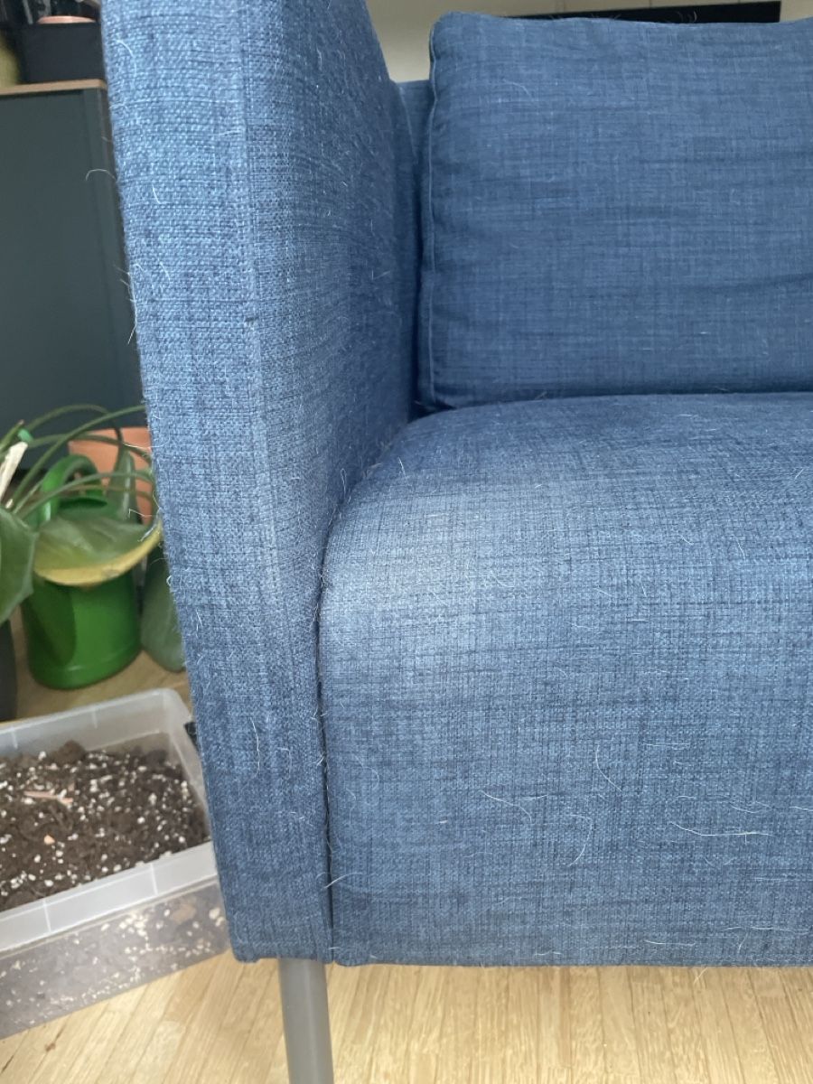 Ikea Poltrone: IKEA Sessel Ekerö – Usato da Wittenbach venduto da Habbis 1