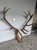 Kapital Hirsch Gold grand cerf Medaille or