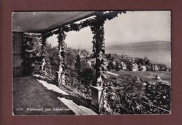 WÄDENSWIL vom Schloss aus - 1951