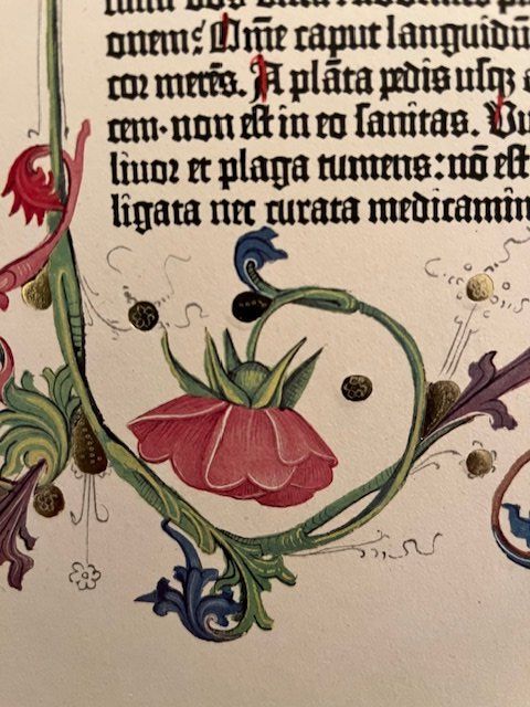 Foto & Immagini: Faksimile / Bibel – Usato da Brunnen venduto da radid 2