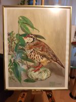Original Aquarell "Rote Rebhuhn" – Signiert SYLVA, 1989