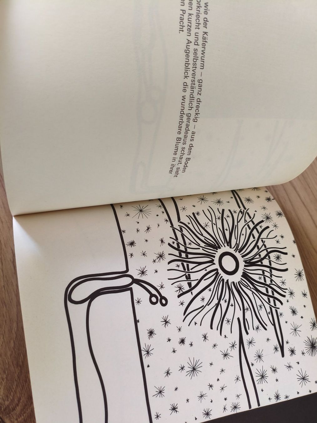 Libri: Die wunderbare Blume von Beat Richner (80er) – Usato da Schaffhausen venduto da philscardstore 7