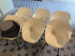 6x Pfister Wila Armlehnstuhl weiss