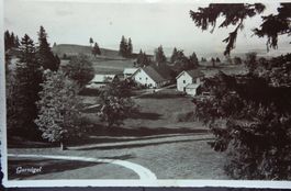 Ferme du Gurniguel vers la vue des alpes