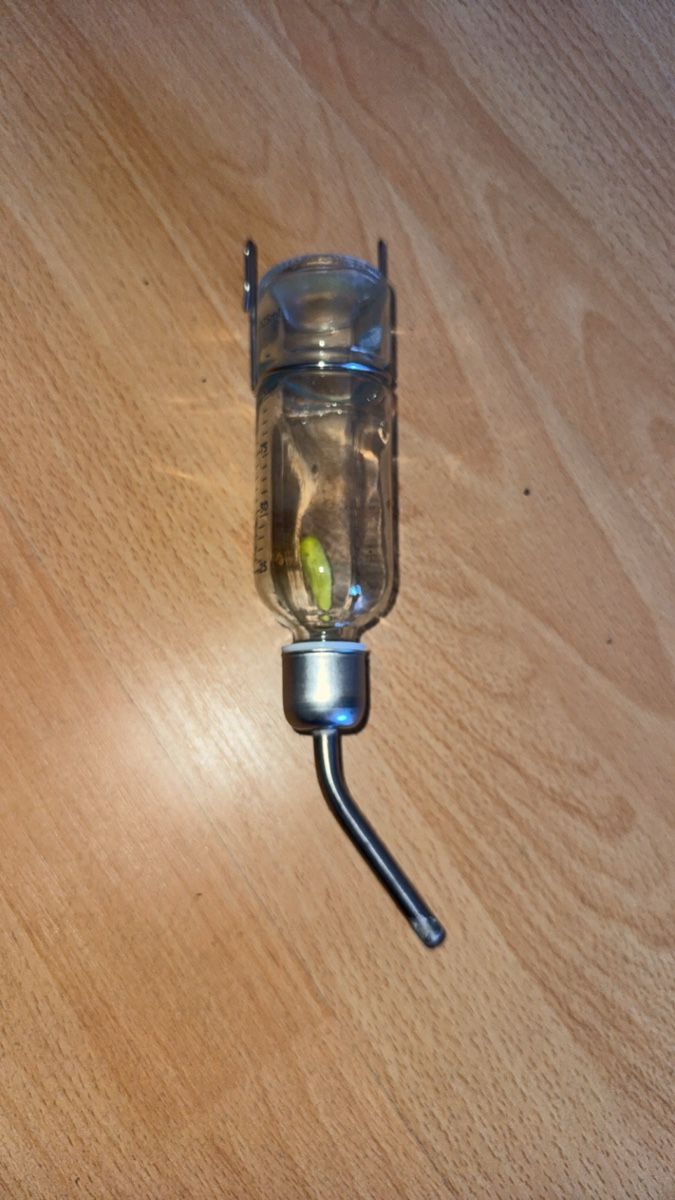 Trinkflaschen & Thermosflaschen: Hamsterkäfig Trinkflasche – Gebraucht aus Bern von pat_g5v7