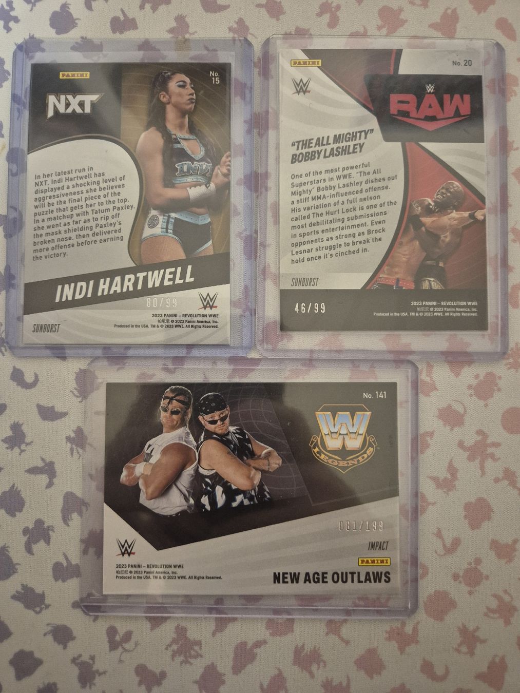 Panini Carte collezionabili: Wwe Revolution 2023 Nummber Cards – Nuovo (secondo la descrizione) da Wetzikon ZH venduto da jas_c5d8 1