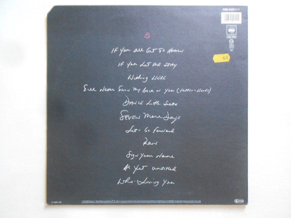 Dischi in vinile: TERENCE TRENT D'ARBY  -  INTRODUCING THE HARDLINE ACCORDING – Usato da Bex venduto da Giorgiob 1