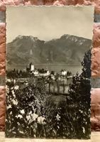 SPIEZ am Thunersee - Berner Oberland