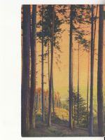 Motivkarte Wald 1919 mit ST Ambulant
