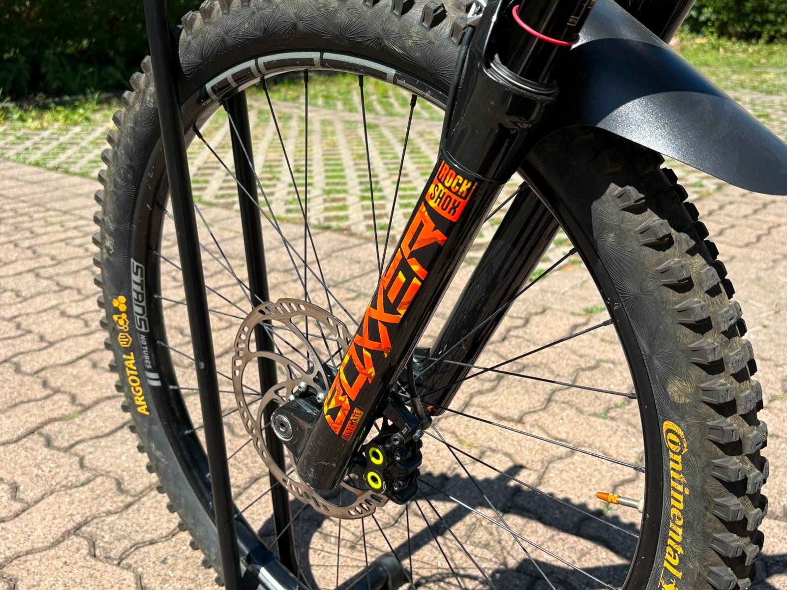 Propain Biciclette: Propain Rage AL Grösse M Downhill Bike – Usato da Oetwil an der Limmat venduto da Dudel 5