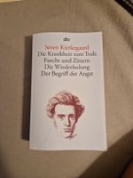 Sören Kierkegaard dtv Buch sehr guter Zustand gebraucht